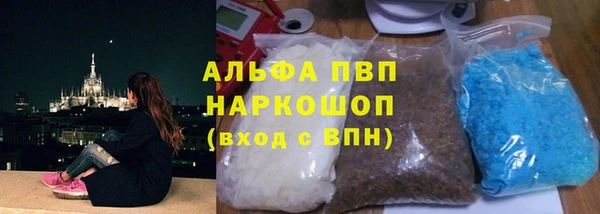 сатива Магас