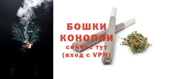 сатива Магас