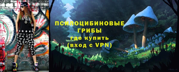 ГАЛЛЮЦИНОГЕННЫЕ ГРИБЫ Магадан