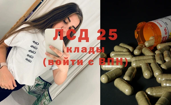 ГАЛЛЮЦИНОГЕННЫЕ ГРИБЫ Магадан