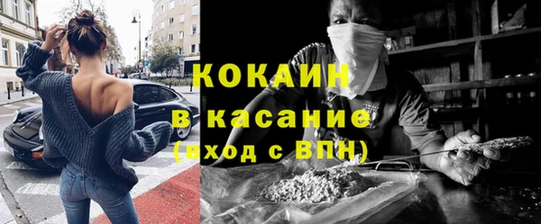 сатива Магас