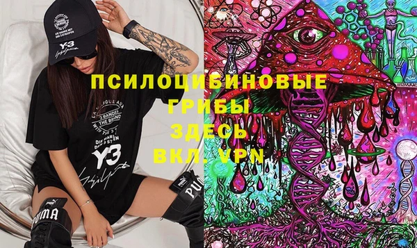 сатива Магас