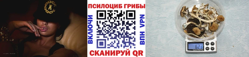 купить наркотики сайты Фатеж Галлюциногенные грибы ЛСД